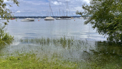 10.06.2024 ,Tutzing, Starnberger See

Hier nur Vorschaubilder !